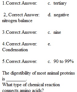 Chapter 6 Quiz